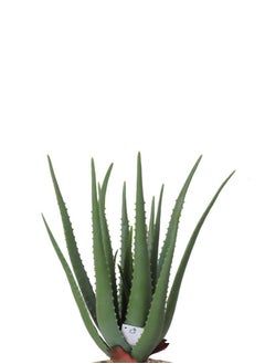 Artificial Tree Simulating Natural Cactus Tree in Shape and Texture 60cm - pzsku/ZCA4D4CE07F5AEBCB5FE5Z/45/_/1731249544/215edc90-e482-4715-b453-06acd7a9a100