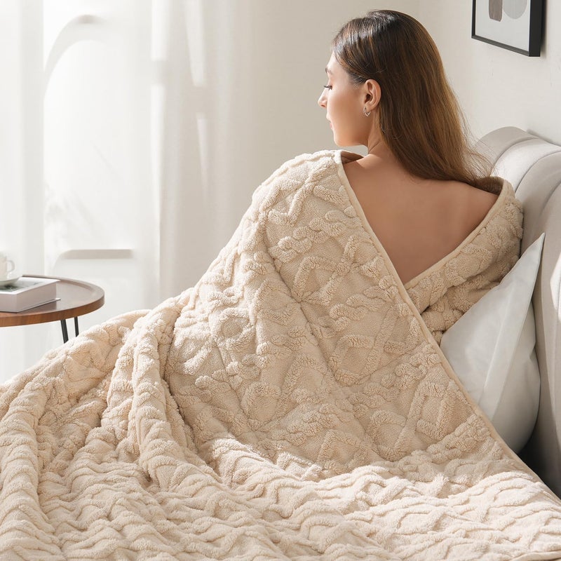 Drewin Weighted Blanket Queen Size 17lbs, Classy Soft Jacquard Sherpa Weighted Blankets for Sleep Natural and Calming, Ultra-Cozy Sofa Bed Blanket for Winter, Beige, 60 x 80 inches - Image 1