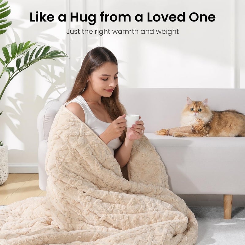 Drewin Weighted Blanket Queen Size 17lbs, Classy Soft Jacquard Sherpa Weighted Blankets for Sleep Natural and Calming, Ultra-Cozy Sofa Bed Blanket for Winter, Beige, 60 x 80 inches - Image 4