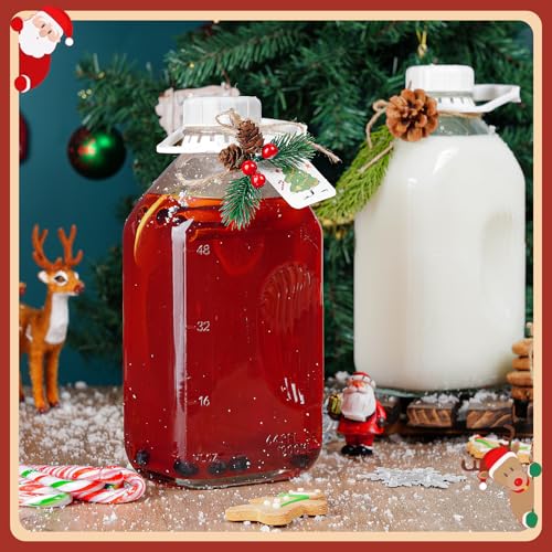 Ritayedet 64 Oz Heavy Duty Glass Milk Bottle with Reusable Airtight Strong SCREW LID - 1/2 Gallon Water Bottles with Scale Lines - 2 Qt Glass Milk Jug Pitcher - Extra Gaskets & Handle! - Image 3