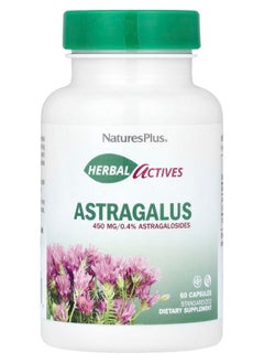 NaturesPlus Herbal Actives Astragalus 450 mg 60 Capsules 