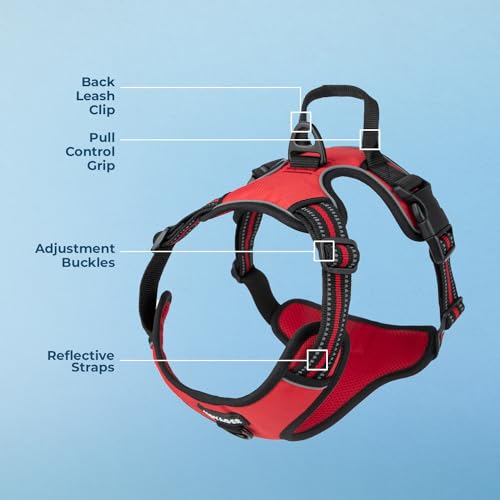 Voyager Dog Harness Dual Leash Attachment No-Pull Control Adjustable Soft but Strong Pet Harness for Medium and Large Dogs with 3M Reflective Technology, Red Lattice Nylon, M (Chest: 20-25") - Image 4