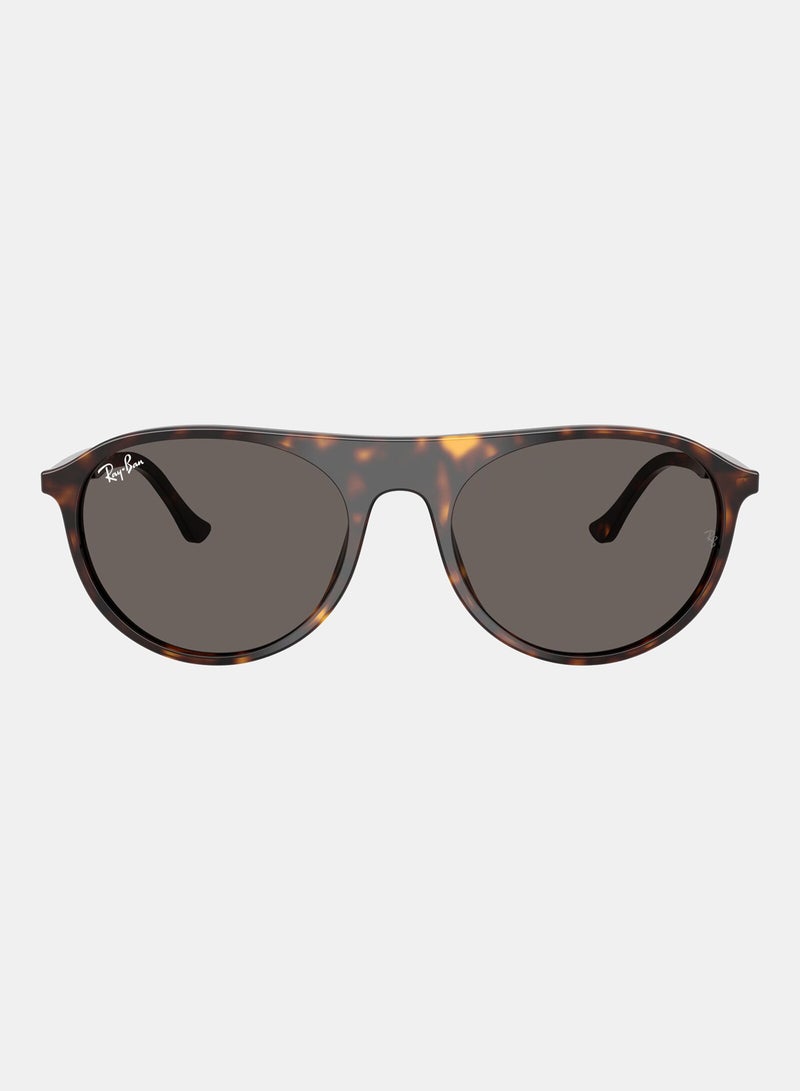 راي بان Unisex Full-rimed Aviator Sunglasses 2215, 56, 902, B1 - Image 1