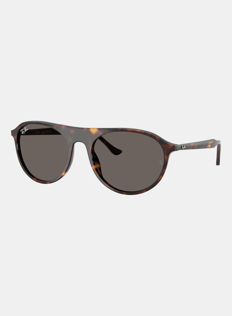 راي بان Unisex Full-rimed Aviator Sunglasses 2215, 56, 902, B1 - Image 2