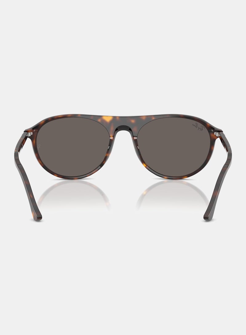 راي بان Unisex Full-rimed Aviator Sunglasses 2215, 56, 902, B1 - Image 4