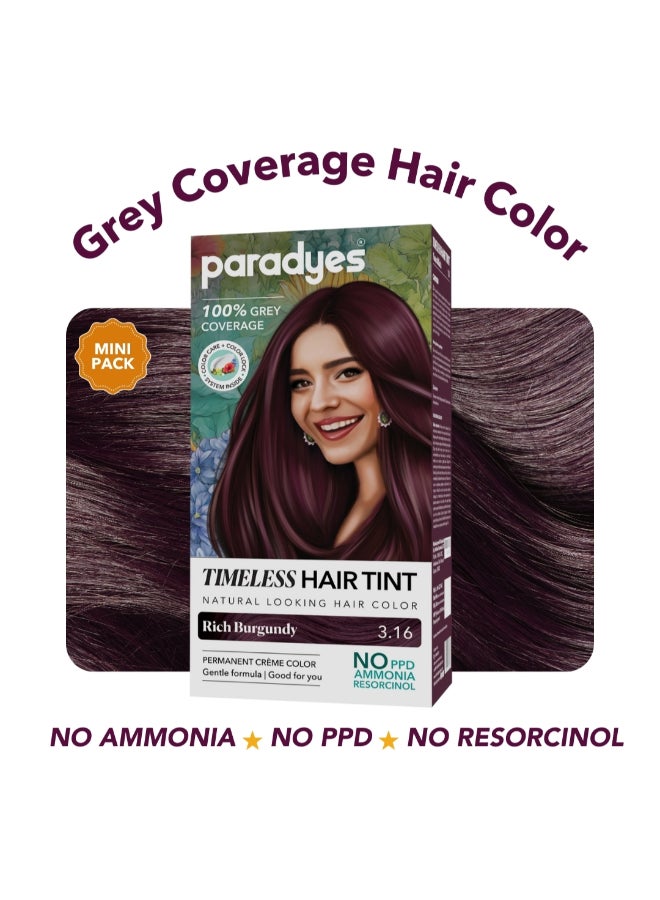 Paradyes Mini Rich Burgundy Timeless Hair Tint, Permanent Crème Hair Color for Hair & Beard, Complete Grey Coverage, Formula Free from PPD, Ammonia, & Resorcinol, 3.16 Rich Burgundy, 60 GRAM - Image 2