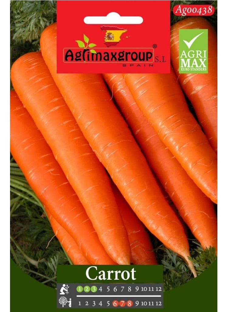 Agrimax Carrot Premium Quality Seeds by Agrimaxgroup® - Image 2
