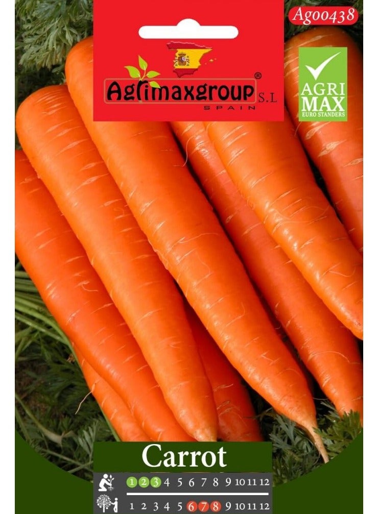 Agrimax Carrot Premium Quality Seeds by Agrimaxgroup® - Image 1