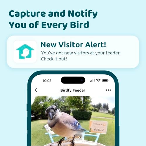 NETVUE by Birdfy Smart Bird Feeder with Camera, Bird Watching Camera, Auto Capture Video&Motion Detection, 1080P Live Steam, Cardinal Feeder Outdoor Wireless, Ideal Present for Backyard Birder, Yellow - Image 2