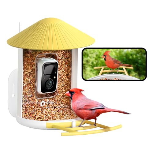 NETVUE by Birdfy Smart Bird Feeder with Camera, Bird Watching Camera, Auto Capture Video&Motion Detection, 1080P Live Steam, Cardinal Feeder Outdoor Wireless, Ideal Present for Backyard Birder, Yellow - Image 1