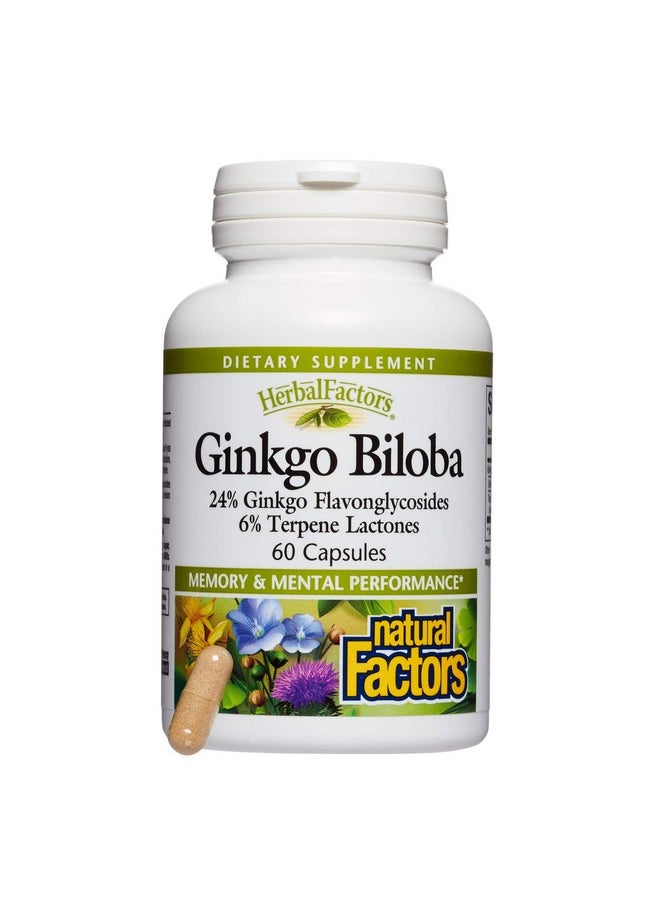 natural Factors - Herbalfactors By Natural Factors Ginkgo Biloba Supports Memory Mental Performance And Healthy Brain Function 60 Capsules (60 Servings) - Image 1