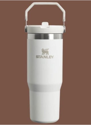 IceFlow Flip Straw Water Bottle with Straw 0.88L – Keeps Drinks Cold for 12+ Hours – Leakproof Stainless Steel – BPA-Free Travel Mug – Easy to Carry – Dishwasher Safe – Frost Color - pzsku/ZCA532FBCA346430B851FZ/45/_/1739907565/a161bd73-8b2f-4a39-8472-f79f1648f8aa
