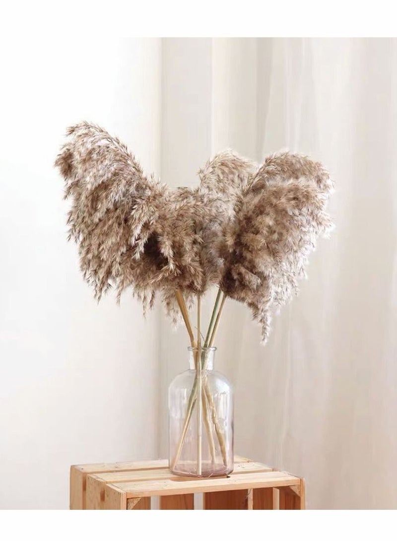 HomarKet Pampas Grass Large - 25 Stems of 60cm, Natural Large Pampas Grass. Dried Pampas Grass Decor Wedding Flower Bunch Natural Plants Decor Reed Flower Bouquet - Image 4