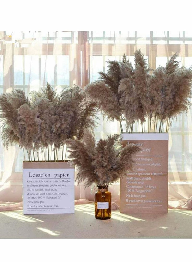 HomarKet Pampas Grass Large - 25 Stems of 60cm, Natural Large Pampas Grass. Dried Pampas Grass Decor Wedding Flower Bunch Natural Plants Decor Reed Flower Bouquet - Image 5