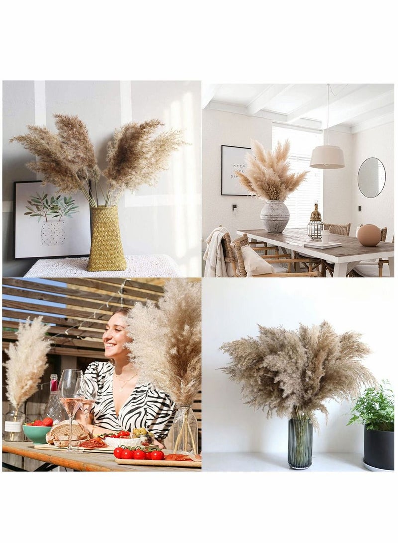 HomarKet Pampas Grass Large - 25 Stems of 60cm, Natural Large Pampas Grass. Dried Pampas Grass Decor Wedding Flower Bunch Natural Plants Decor Reed Flower Bouquet - Image 2