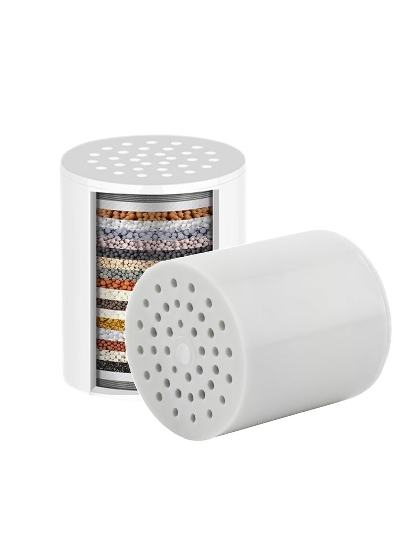 25-Stage Universal Shower Filter Replacement Cartridge for SF100/SF220, Reduces Chlorine & Heavy Metals - Image 1