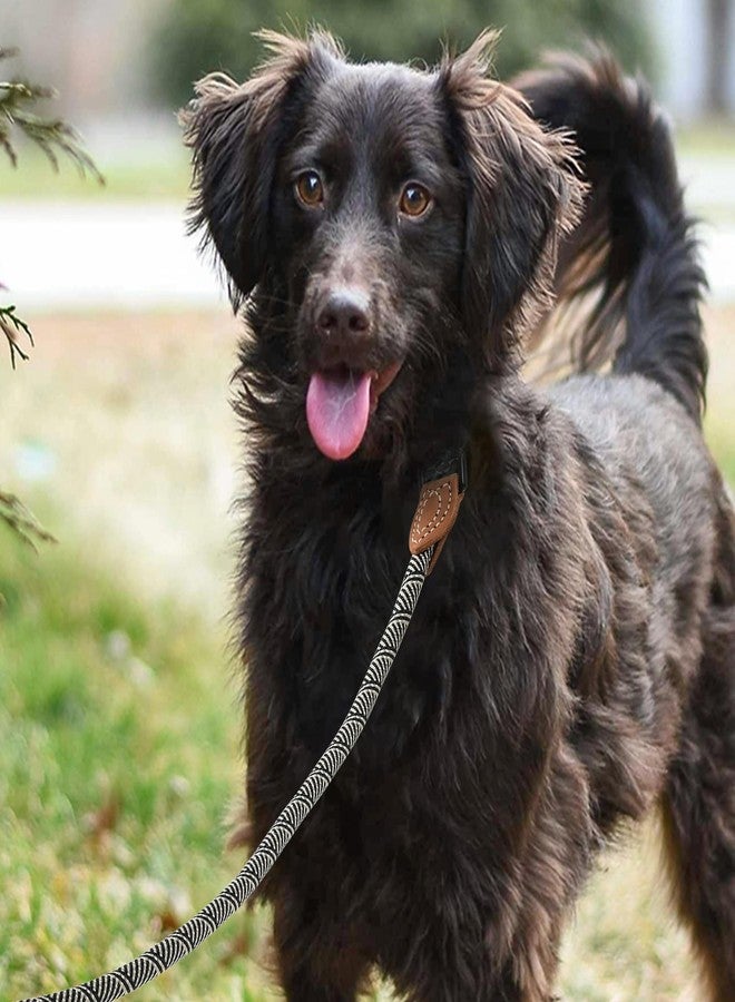 مايل هاي لايف حبل مقود من Mile High Life مع وصلة من الجلد الطبيعي، 6 أقدام/5 أقدام/4 أقدام، حبل مقود شديد التحمل للكلاب المتوسطة والكبيرة (أسود بيج، 48 بوصة) - Image 2