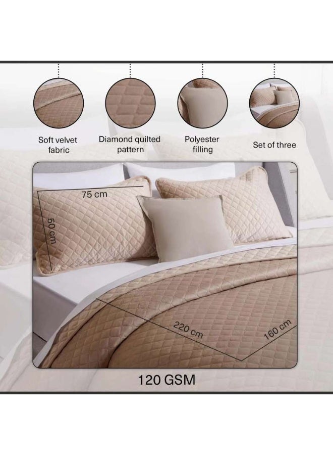Pan Home Veronica 3-piece Velvet Quilted Bedspread Set 160x220cm - Beige - Image 4