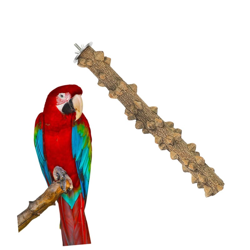 Natural Wood Parrot Play Stand Perch for Cockatiels Parakeets Resting Playing - Image 2
