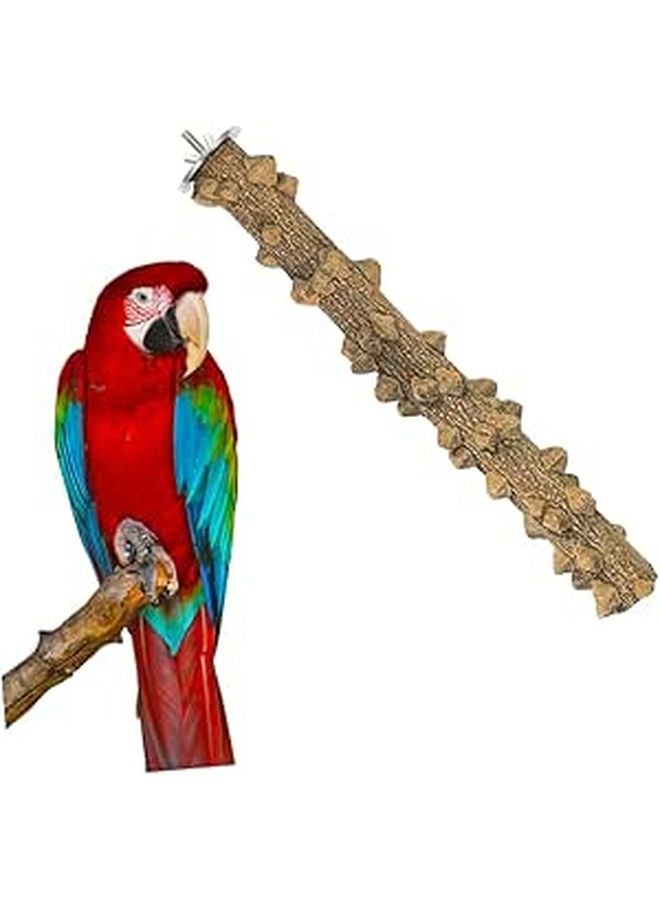 Natural Wood Parrot Play Stand Perch for Cockatiels Parakeets Resting Playing - Image 1