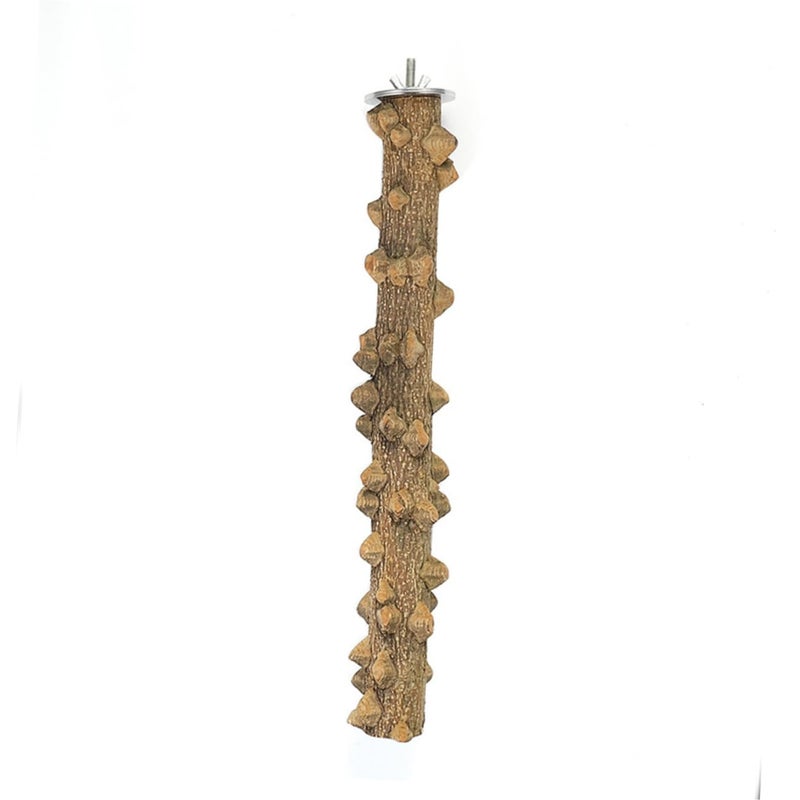 Natural Wood Parrot Play Stand Perch for Cockatiels Parakeets Resting Playing - Image 4