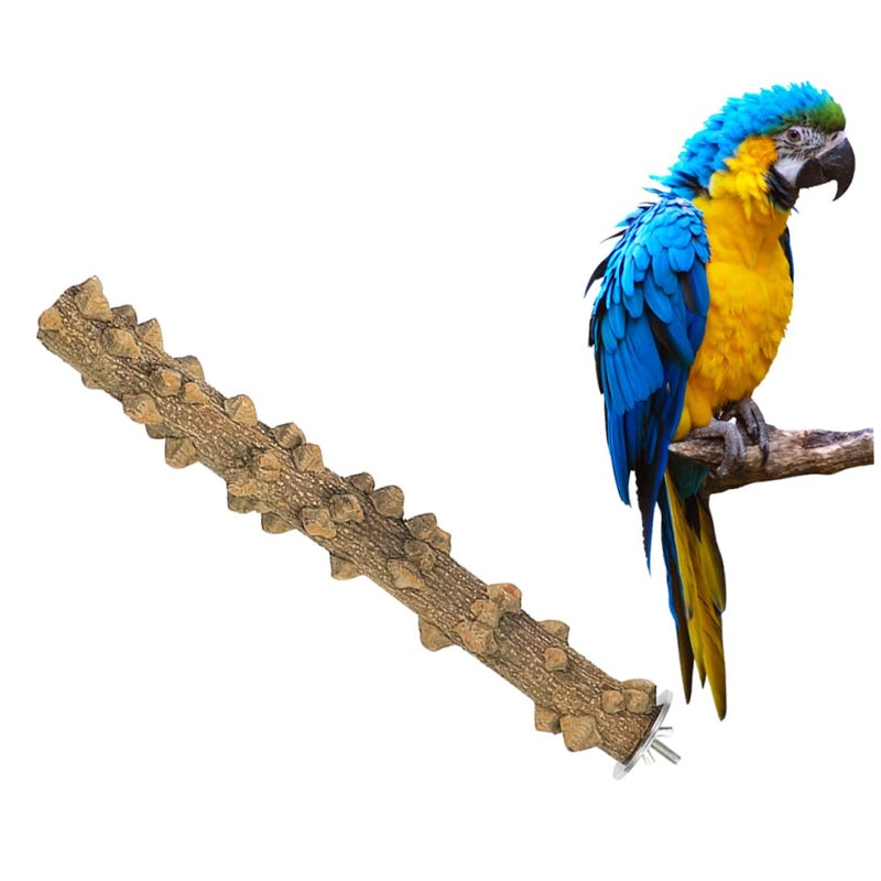 Natural Wood Parrot Play Stand Perch for Cockatiels Parakeets Resting Playing - Image 3