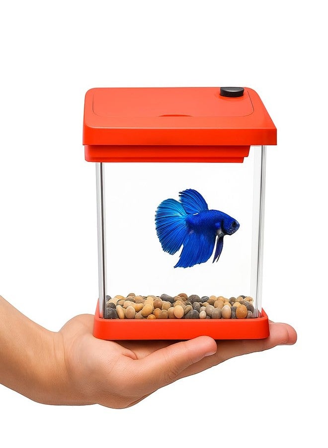 Mini Betta Fish Tank with Lid - Stylish Desktop Aquarium Container - Compact, Portable & Easy to Clean - Ideal for Home, Office & Kids - Elegant Look, Multi-Color Design - Great Gift Choice - Image 1