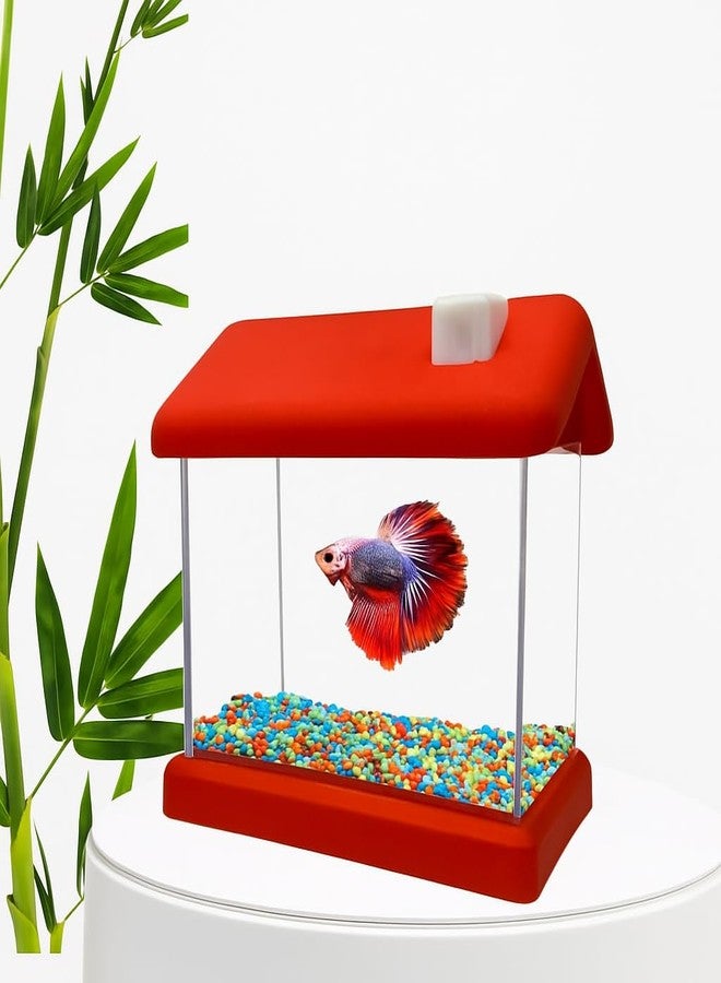 Mini Betta Fish Tank with Lid - Stylish Desktop Aquarium Container - Compact, Portable & Easy to Clean - Ideal for Home, Office & Kids - Elegant Look, Multi-Color Design - Great Gift Choice - Image 3