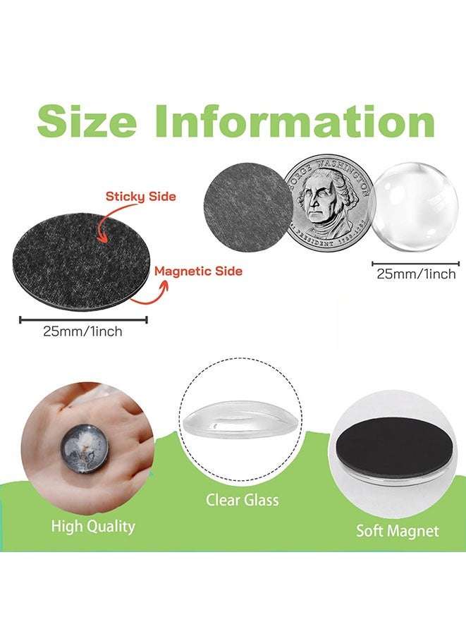 مويكسين مجموعة مغناطيسات الثلاجة التي يمكنك صنعها بنفسك تتضمن مثقاب ورق مقاس 1 بوصة، ومغناطيسات حرفية من السيراميك الزجاجي مع ظهر لاصق وكابوشونات زجاجية شفافة للثلاجة - Image 2