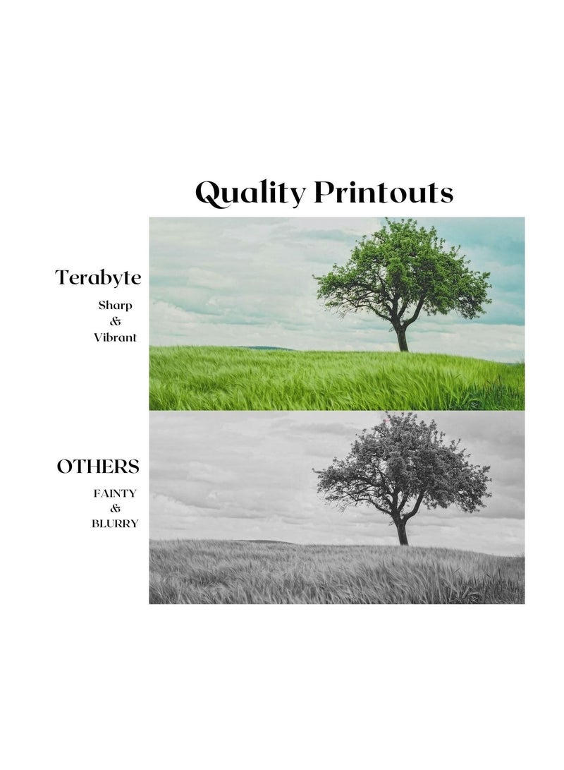 Terabyte TONER CARTRIDGE TN351/TN326/TN329/TN359 YELLOW - Image 4