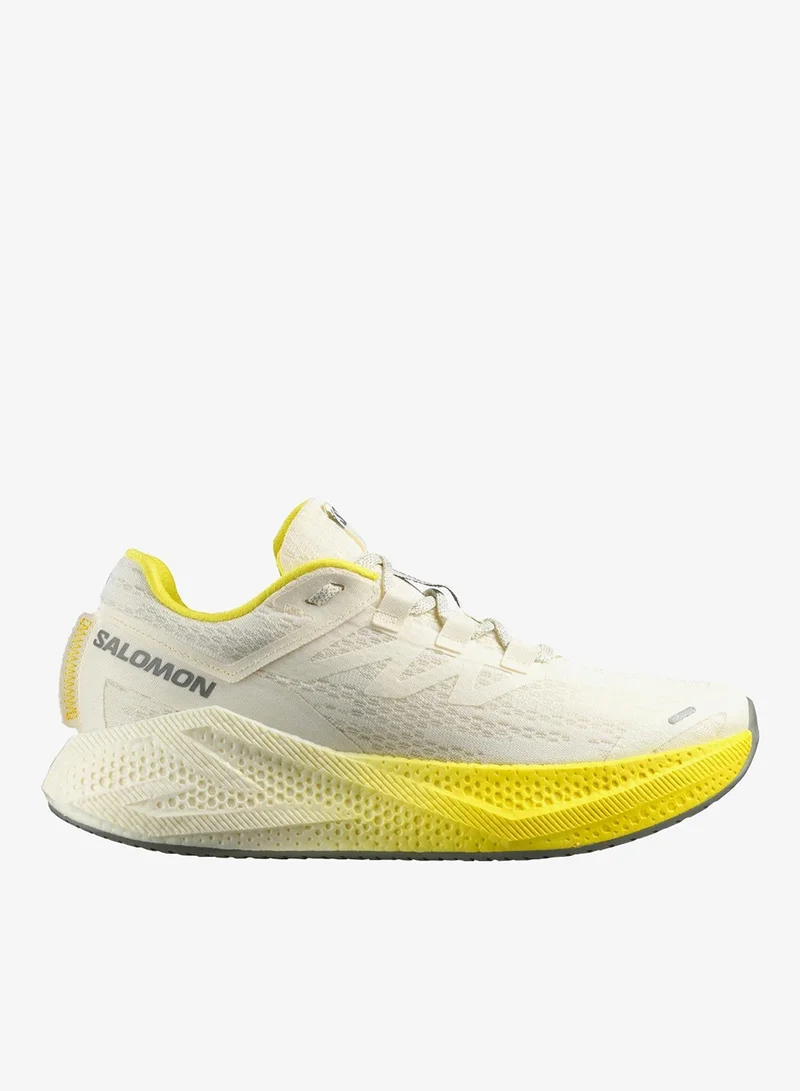 Salomon AERO GLIDE 3 Low Top Sneaker