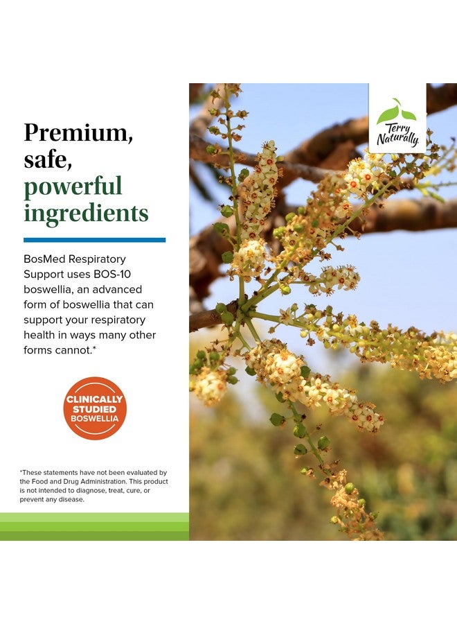 Terry Naturally BosMed Respiratory Support - Respiratory Support Supplement - Herbal Supplement for Lung Support - Healthy Lung Supplement for Clear Bronchial Passages - 60 Softgels (Pack of 2) - Image 5