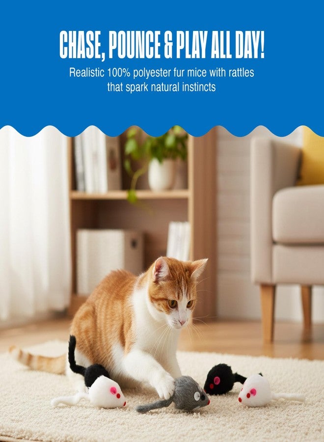 بين بلاكس مجموعة ألعاب قطط Penn-Plax Play Fur Mice، 12 قطعة - بوليستر ناعم مع صوت خشخشة للعب التفاعلي والتمرين والصيد - مجموعة ألعاب قطط خفيفة الوزن لجميع الأعمار والسلالات - أسود، أبيض، ورمادي - 2 بوصة - Image 3