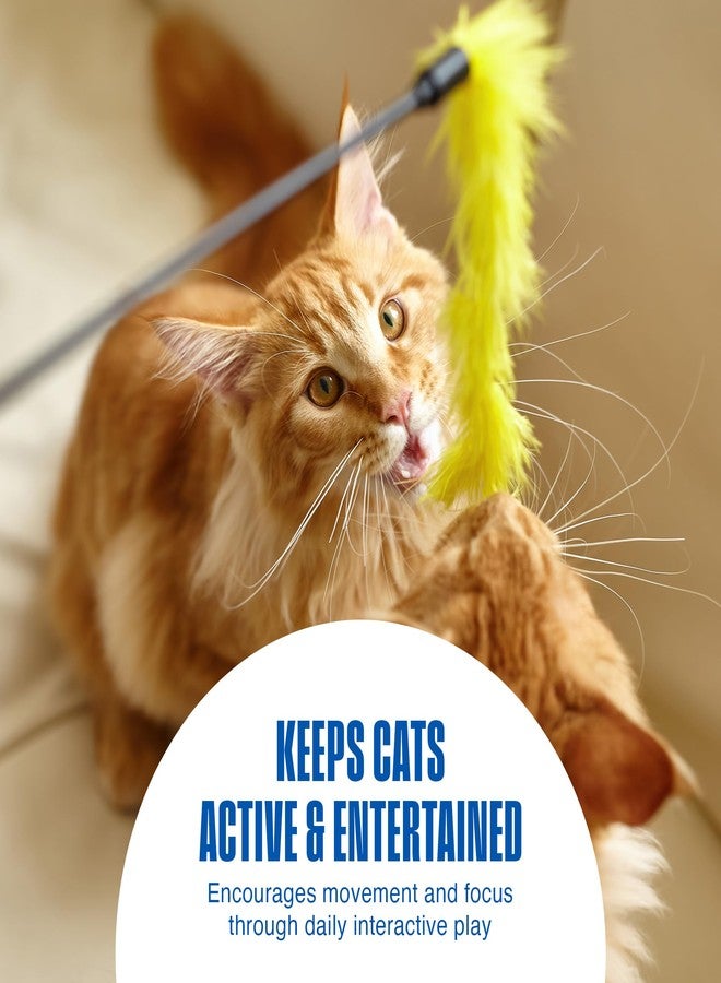 بين بلاكس مجموعة ألعاب قطط Penn-Plax Play Fur Mice، 12 قطعة - بوليستر ناعم مع صوت خشخشة للعب التفاعلي والتمرين والصيد - مجموعة ألعاب قطط خفيفة الوزن لجميع الأعمار والسلالات - أسود، أبيض، ورمادي - 2 بوصة - Image 4