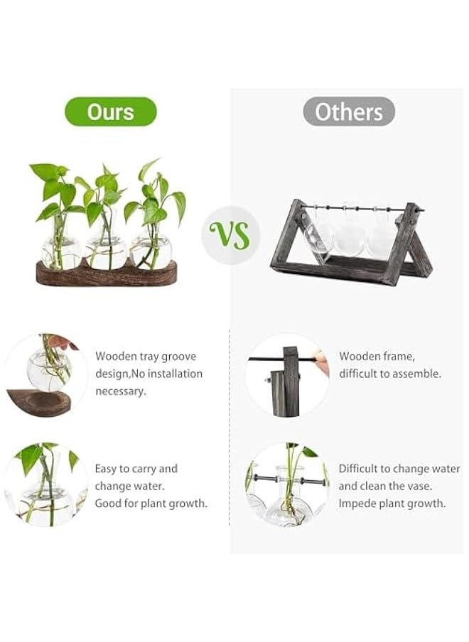 HOOKOR Desktop Plant Propagation Station Glass Planter Terrarium with Wooden Tray Bulb Flower Vase Perfect for Propagating Hydroponic Plants Home Office Decor Plant Lover Gift Idea (5)  - Image 5