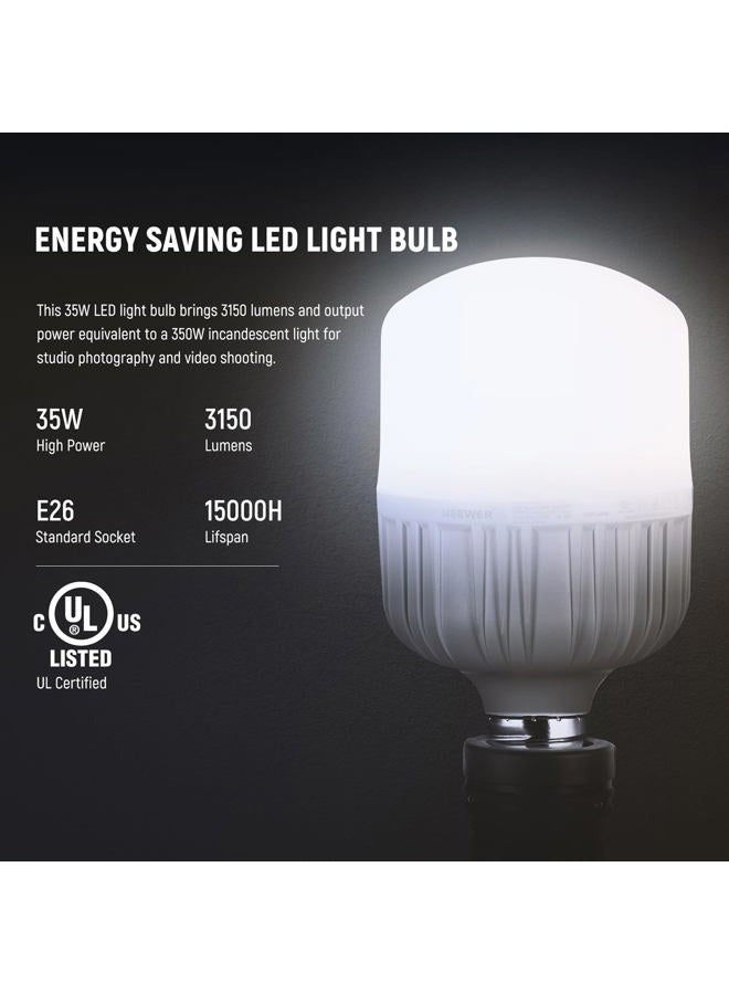 Neewer 700W Equivalent Softbox Lighting Kit, 2Pack UL Certified 5700K LED Lighting Bulbs, 24x24 inches Softboxes with E26 Socket, Photography Continuous Lighting Kit Photo Studio Equipment - Image 3