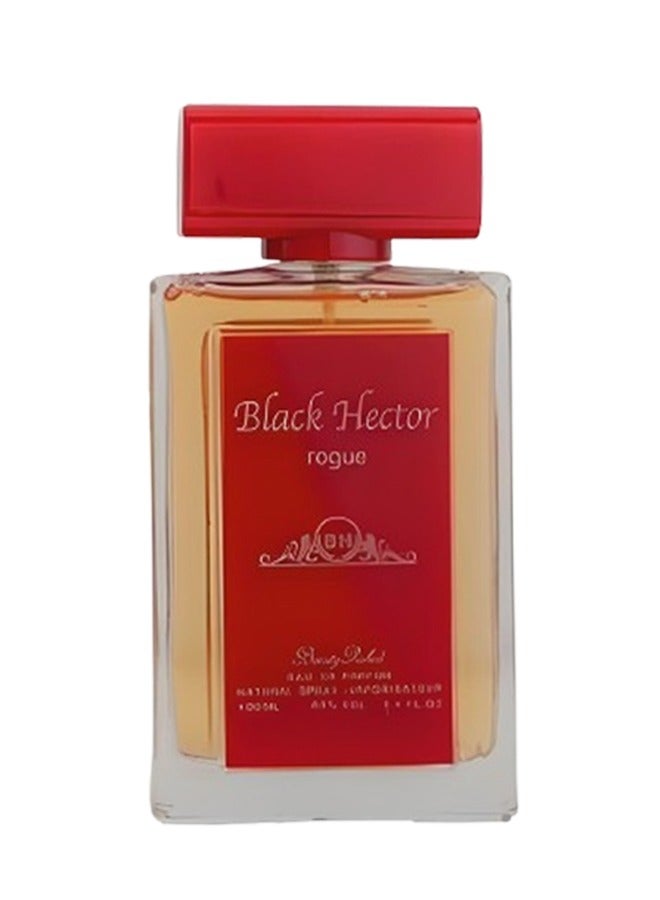 بي إتش عطر بلاك هيكتور روج 100 مل - Image 2