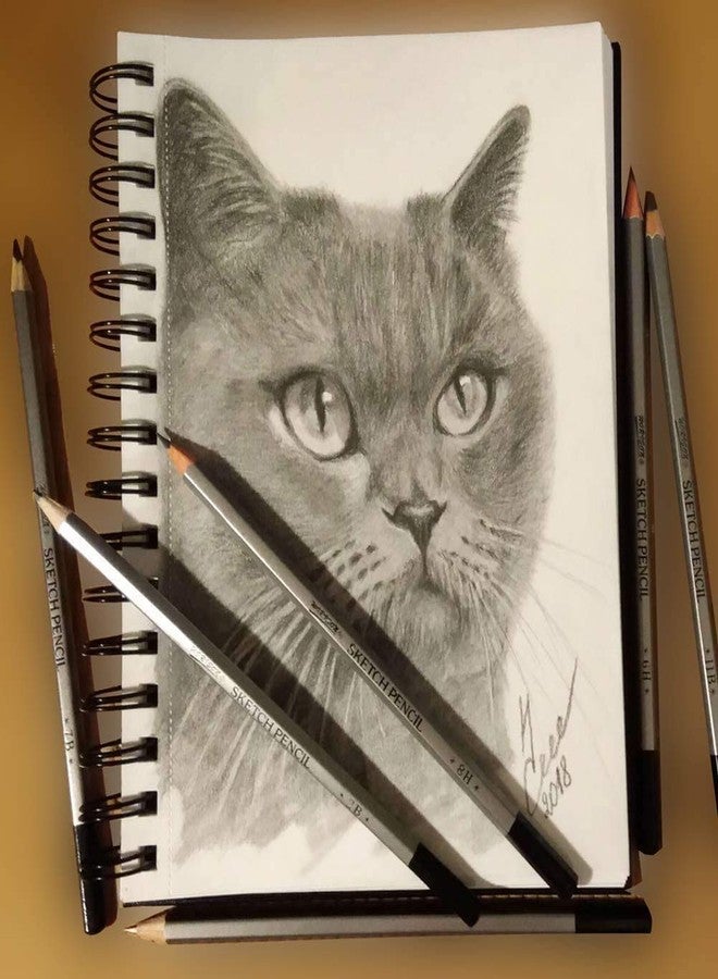 Definite أقلام رصاص ديفينيت آرت للرسم بدرجات مع أدوات مزج/تورتيلون ورقية (مجموعة من 24 قلم رصاص بدرجات و6 أدوات مزج ورقية) - Image 5