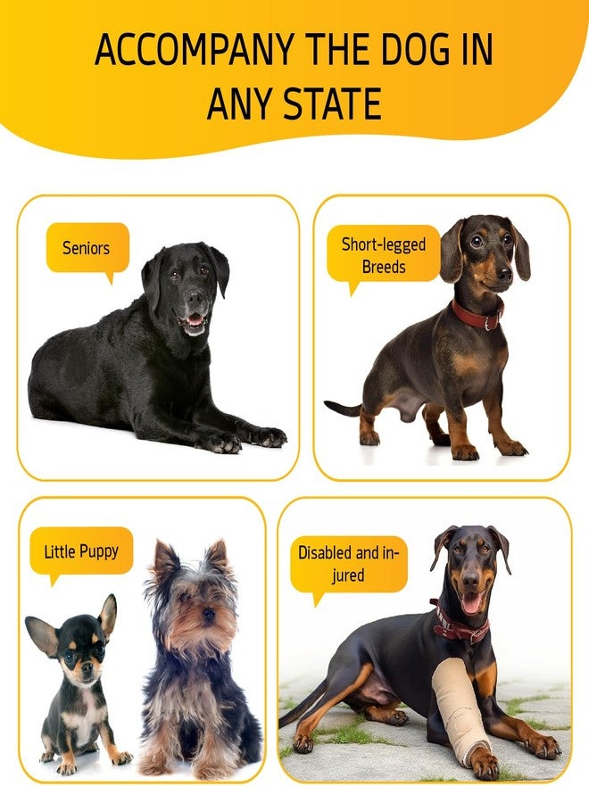 ABCPET Dog Stairs for Small Dog Steps for Bed Ramps Stairs Extra Wide Steps for Bed Foam Stairs for Couch Sofa 35D Strong Support Pet Stairs Non-Slip Bottom Pet Steps to Get on Bed, Grey, 3 Steps - Image 5