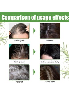 EELHOE Rosemary shampoo fluffy refreshing soft smoothing dry frizz anti-fall growth hair oil control, help hair growth, suitable for all hair types-1pcs  - Image 4