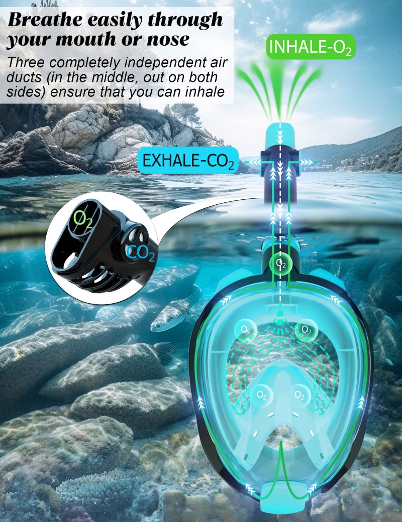W WSTOO Full Face Snorkel Mask Adults,Suitable for Beginners Dry Top Snorkeling Gear,Can Your Mouth or Nose to Breathe,180 Degrees Panoramic View,Anti-Fog Anti-Leak,Summer Travel and Vacationing Gifts - Image 4