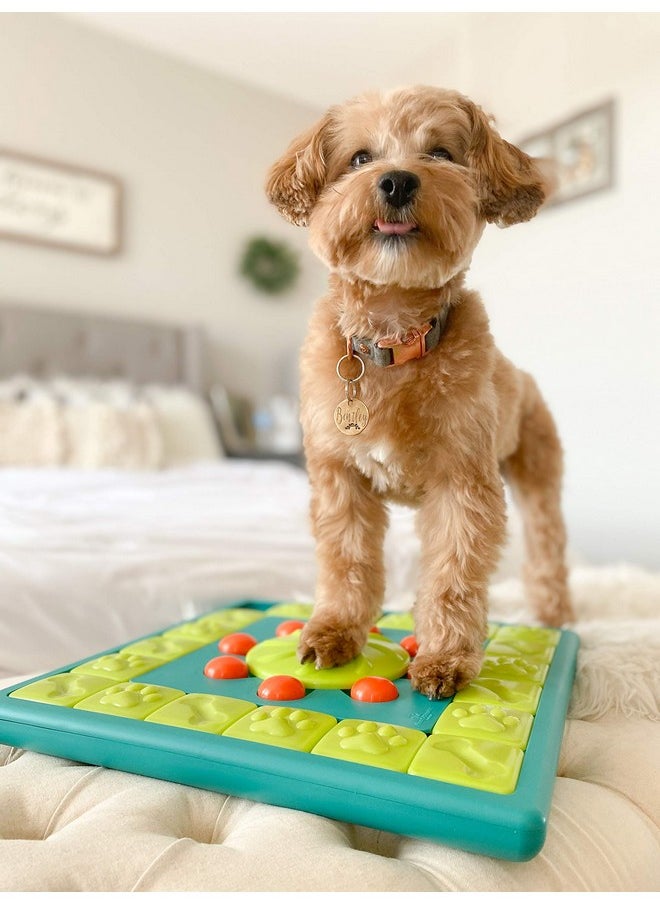 outward hound - By Nina Ottosson Multipuzzle Level 4 Expert Dog Treat Puzzle For Enrichment, Blue - Image 1