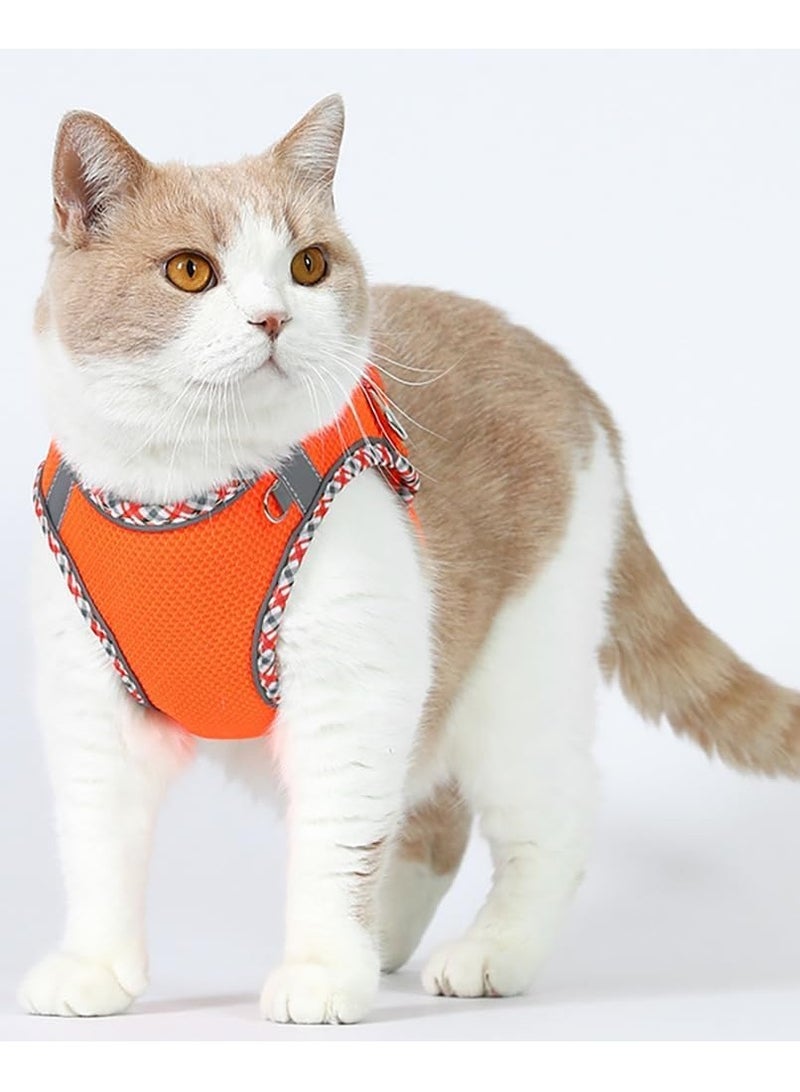 فيبارتي تسخير للكلاب الصغيرة والمتوسطة ، لا يوجد حزام جرو ومجموعة مقود ، حزام سهل المشي للكلاب للمشي والجري والتدريب ، صغير مريح وحزام متوسط ، قابل للتعديل ، متين ، مثالي للاستخدام اليومي - Image 2