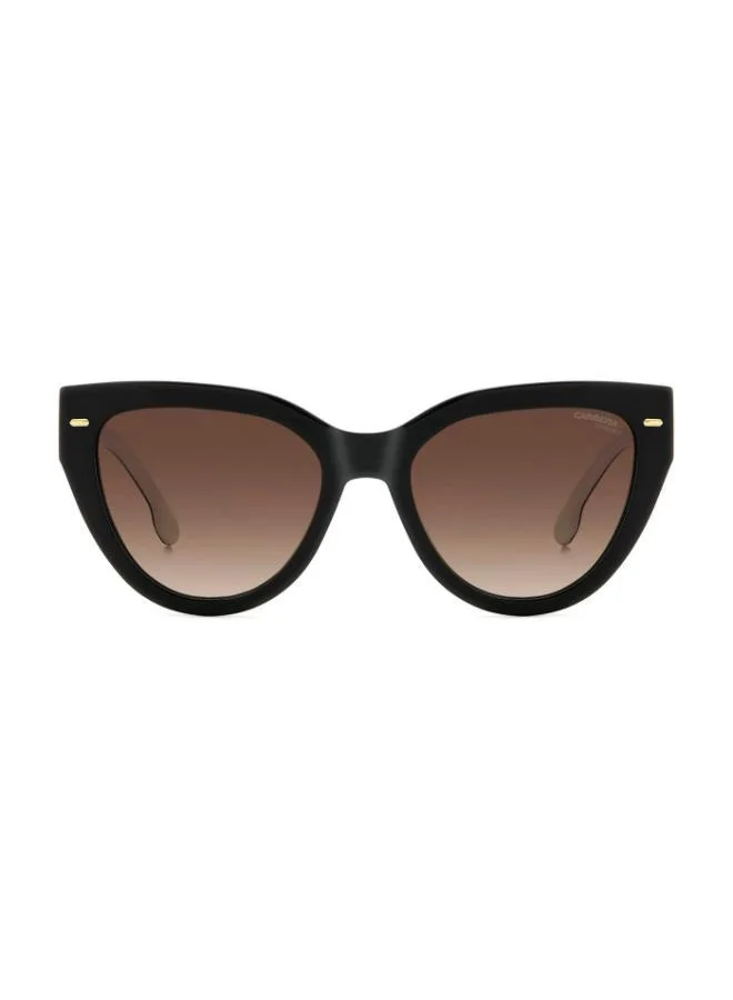 Carrera  Cat Eye Sunglasses Frames  | Best Price UAE
