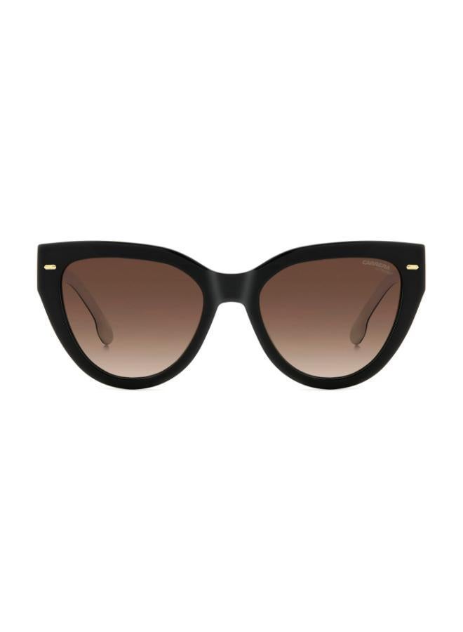 كاريرا إطارات نظارات عين القطة - Image 3