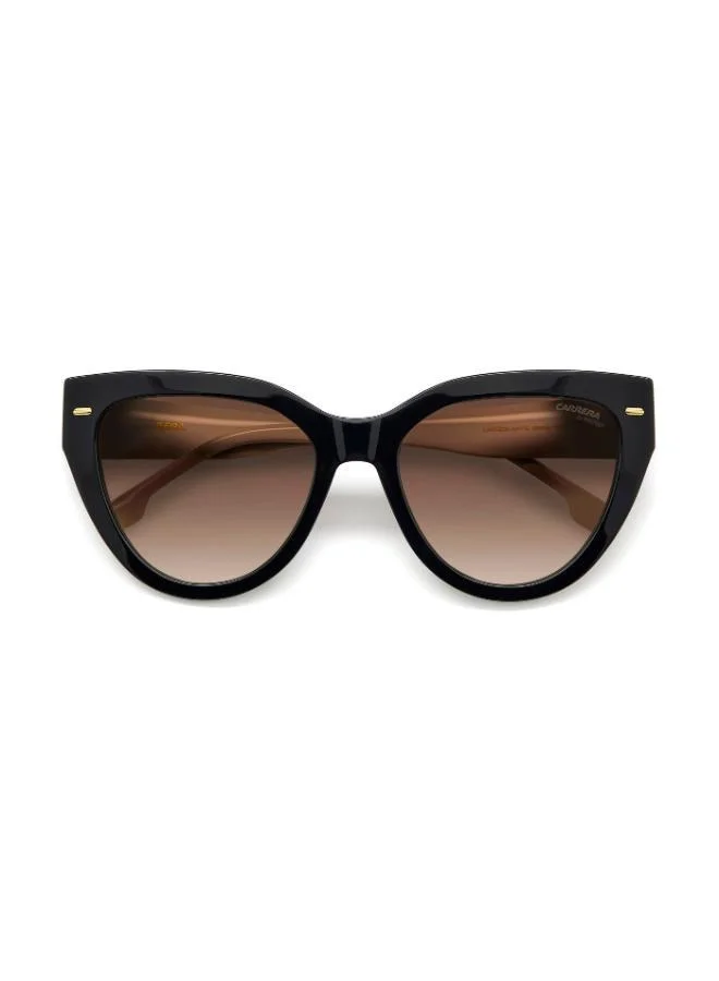 Carrera  Cat Eye Sunglasses Frames  | Best Price UAE