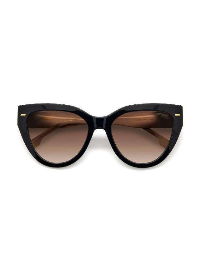 كاريرا إطارات نظارات عين القطة - Image 4