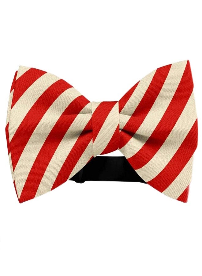 RR DESIGN Jumbo Size Adjustable Fashion Party, Function, Weeding Cum Formal Costume Neck Bow Tie Cum Necktie for Dog/Puppy with Adjustable Strap(Red Stripes) (M) - Image 1