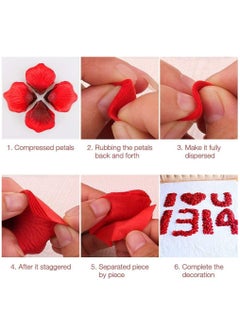 Cool Baby 1000 pieces artificial silk flower petals - Champaign Red  - Image 3
