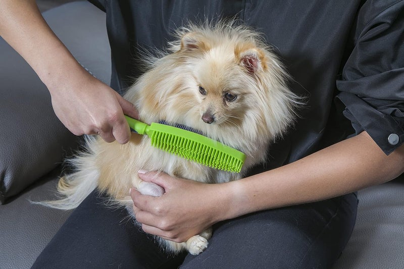 FURemover مزيل الفراء الثنائي، فرشاة ��لوبر ذات الوجهين، فرشاة متعددة الاستخدامات للكلاب، فرشاة الوبر للأريكة والملابس، ��رشاة الوبر الشبيهة بالمطاط ذات الوجهين للعناية بالحيوانات الأليفة وإزالة الوبر/الشعر، قد تختلف الألوان - Image 5